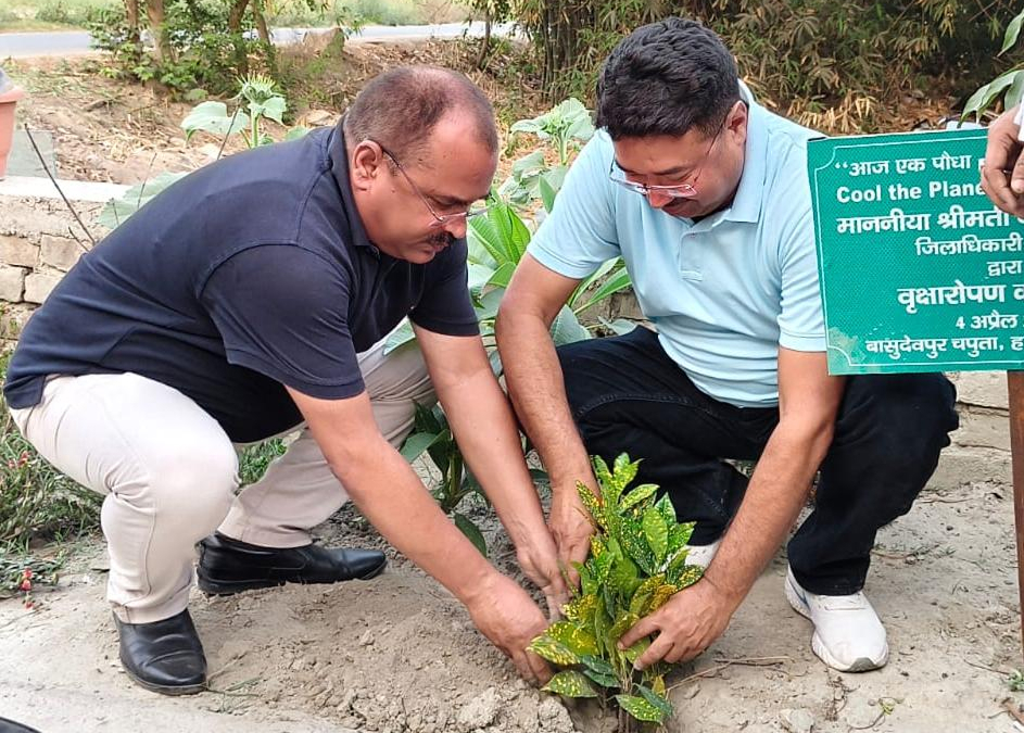 Plantation