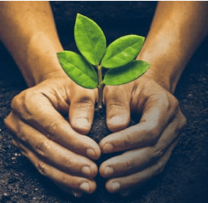 LO_Corporate-Social-Responsibility_1280x661-768x397%201