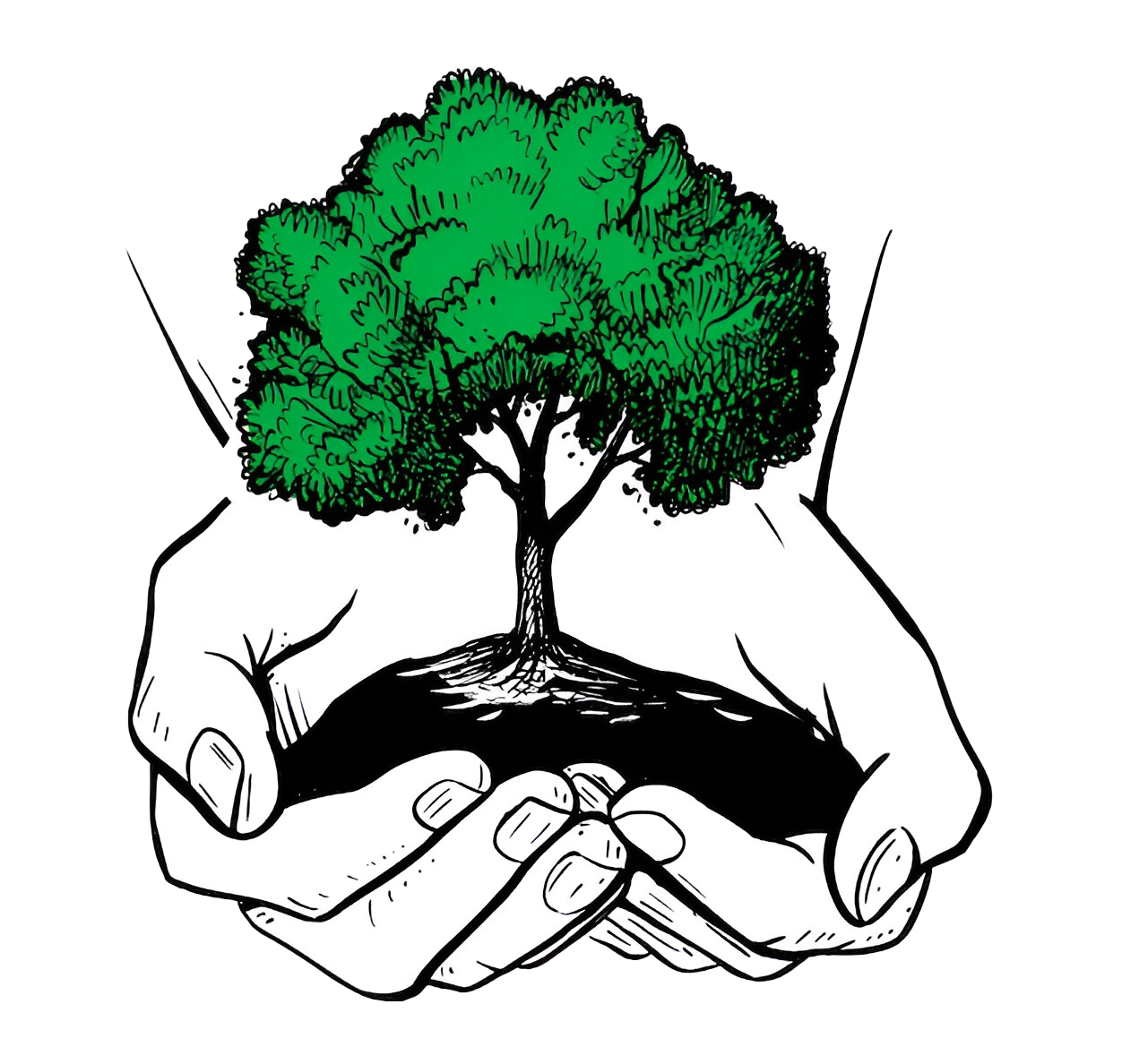 Tree in Hand