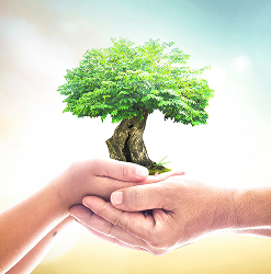 together-tree